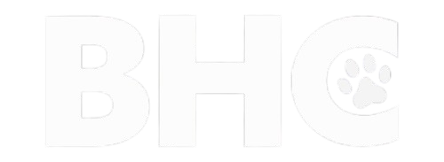 digital marketing agency in usa